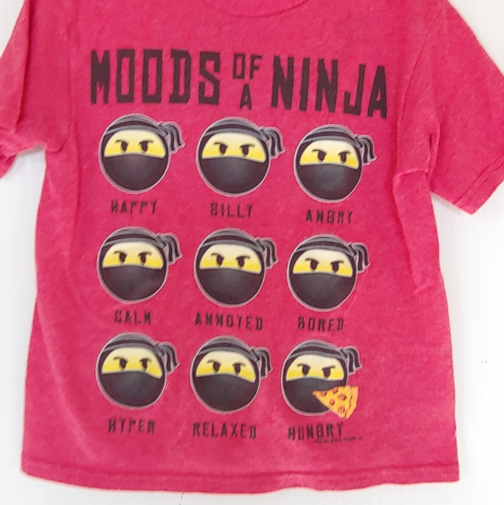 Boys Moods of a Ninja T-shirt 🍕